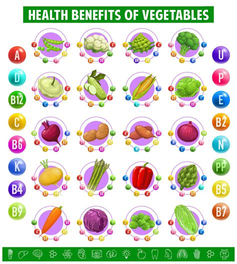 Chart Table Content Of Vitamins In Vegetables Vector Art At