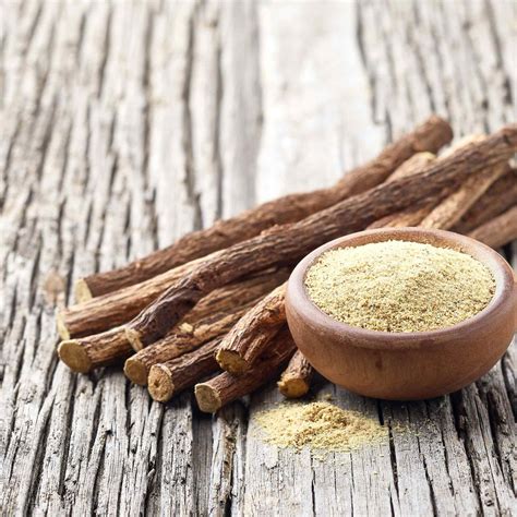 Licorice Seeds | Herb Seeds | Eden Brothers