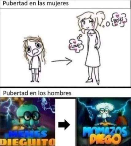 Pubertad En Las Mujeres Pubertad En Los Hombres