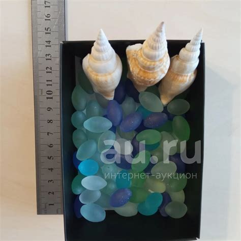 Стекляшки и ракушки для аквариума — купить в Красноярске. Состояние: Б ...