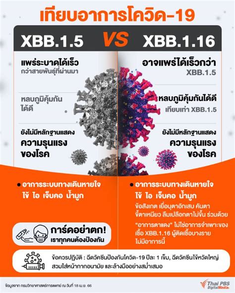 กรมวิทย์ฯ ชี้โควิด Xbb116 ไม่แรงเท่าเดลตา ไทยพบแล้ว 27 คน Thai Pbs