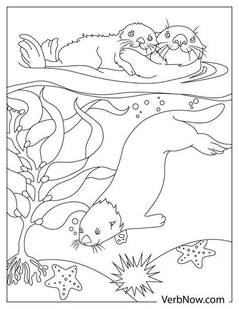 Otter Coloring Page