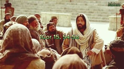 Evangelho Lc 6 39 45 - Evangelho Dominical -Lc 6, 39-45. "Pode um cego guiar outro cego ...