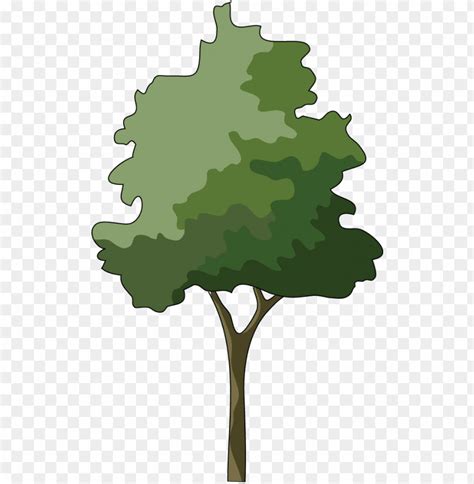 Trees In Elevation For Photoshop Png Transparent With Clear Background