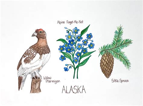 Alaska State Bird Flower Tree Original Watercolor Willow Ptarmigan