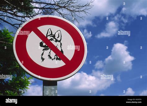 Halt German Stop Sign Hi Res Stock Photography And Images Alamy