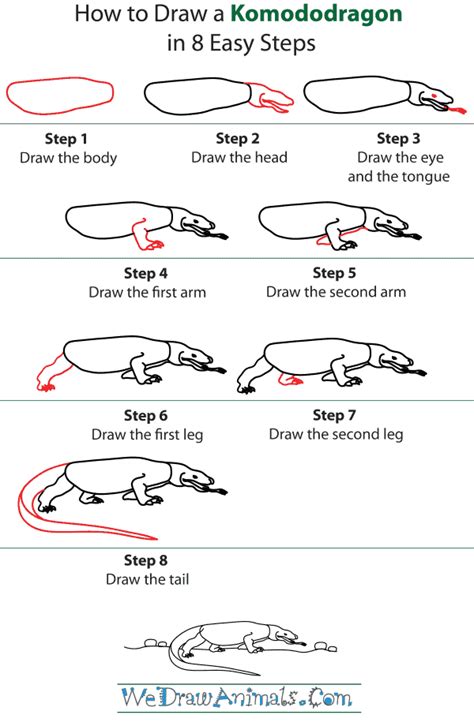 Komodo Dragon Drawing at PaintingValley.com | Explore collection of Komodo Dragon Drawing