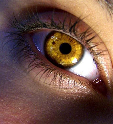 Color Of My Iris Aesthetic Eyes Gold Eyes Golden Eyes