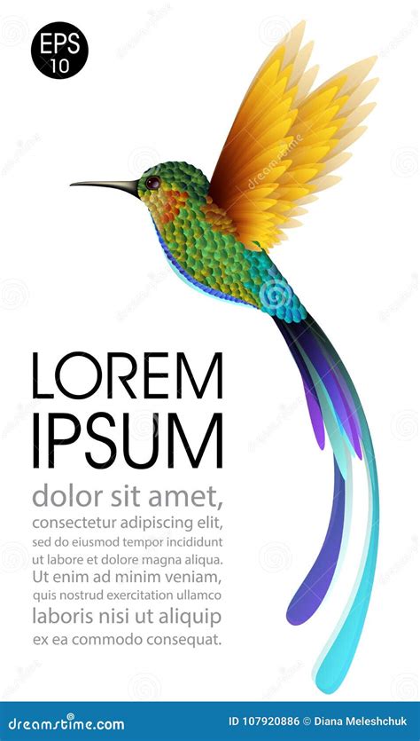 Colibri Dirigez L Illustration De L Oiseau Volant Exotique De Colibri D