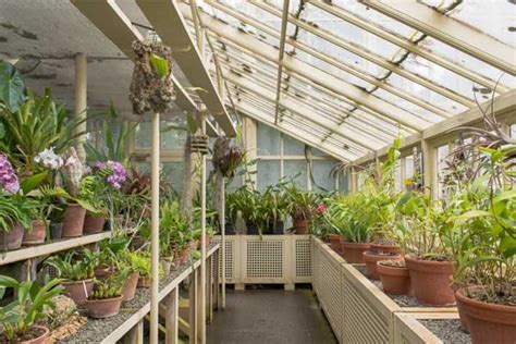 Sunken Greenhouse: The Solution To Plant Year Round - The Tiny Life