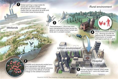 How Pathogens Survive And Thrive In A Changing Climate ASM Org