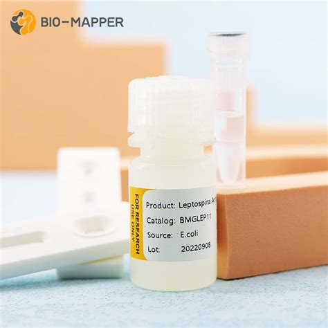 Best Leptospira Exporter and Manufacturer | Bio-mapper