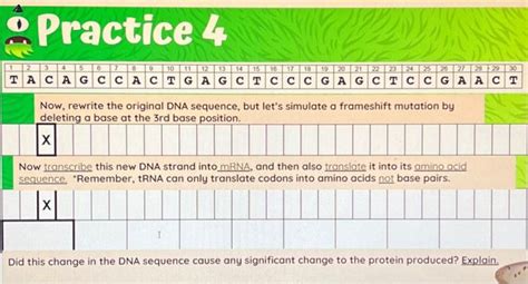 Now, rewrite the original DNA sequence, but let's | Chegg.com