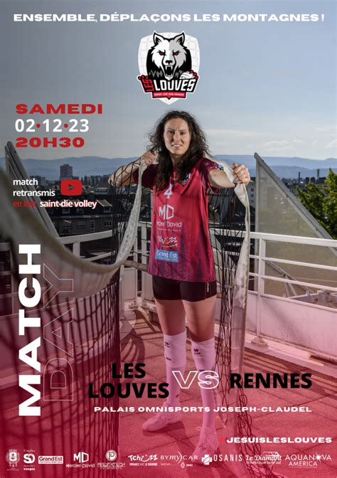 Les Louves Vs Rennes Volley Ball Saint Di