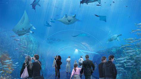 Le Plus Grand Aquarium Deurope Ouvre Boulogne Sur Mer The Weather