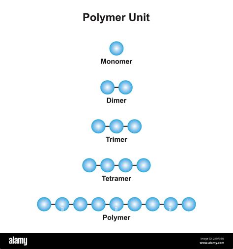 Conception Scientifique De La R Action De Polym Risation Conversion