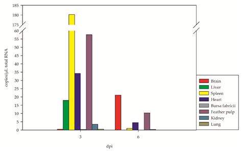 Viruses Free Full Text Pathogenesis Of West Nile Virus Lineage 2 In Domestic Geese After