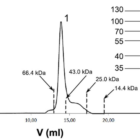 Analytical Size Exclusion Chromatography Of The Eba Region Ii On