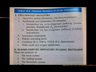 Chemical Mediators In Acute Inflammation Ppt