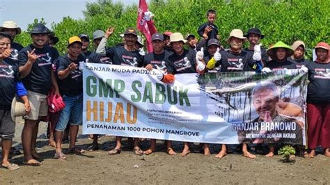 Terinspirasi Sosok Ganjar GMP Sabuk Hijau Tanam 1 000 Bibit Mangrove