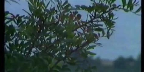 Anal Roulette Auf Heissen Ofen Charlene Roben Tnaflix