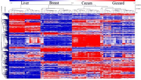 Degs Hierarchical Clustering Heat Map Showing Genes Rows With Download Scientific Diagram