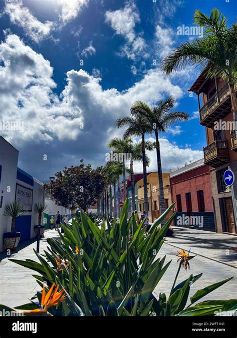 Spanien Kanarische Insel Teneriffa Impressionen Einer Insel Urlaub