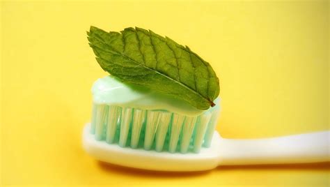 Eco Friendly And Organic Toothpaste Ideas Green Suburb