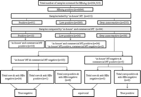 Flow Chart Of The Study Anti Hbs Anti Hepatitis B Surface Antibodies