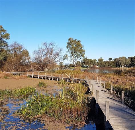 Swanport Wetlands 2024 All You Need To Know Before You Go With Photos