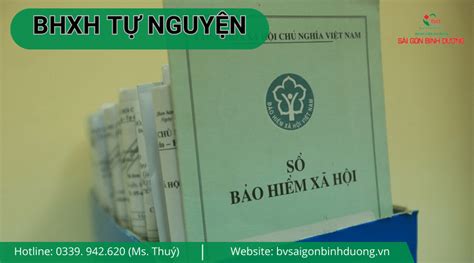 Hướng Dẫn Chi Tiết 7 Bước đăng Ký Bảo Hiểm Xã Hội Tự Nguyện Online