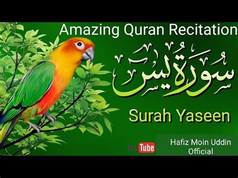 Surah Yaseen Yasin Full Hd With Arabic Text Beautiful Recitation Of