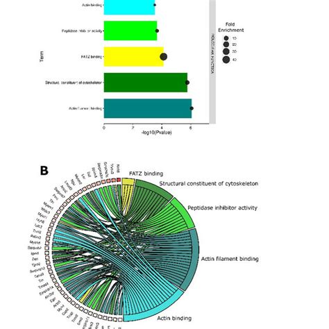 Enriched Go Molecular Function Terms In Electroporated Tumors When