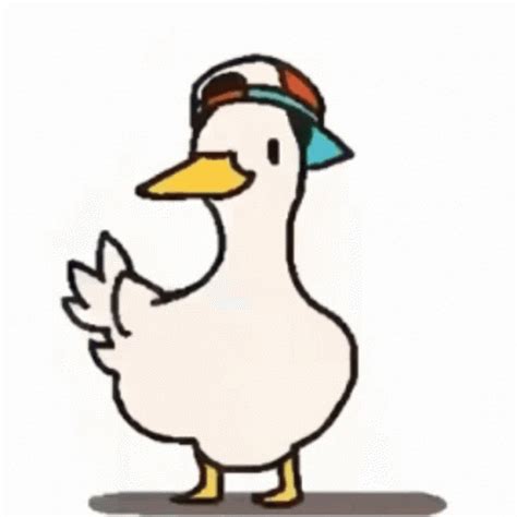 Duck Duck Discover Share Gifs Duck Animated