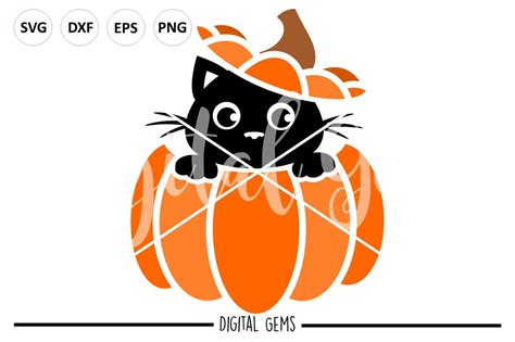 Cat In A Pumpkin Svg Dxf Eps Png Files By Digital Gems Thehungryjpeg