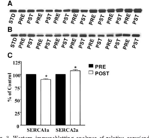 Figure 3 From Paradoxical Effects Of Prior Activity On Human