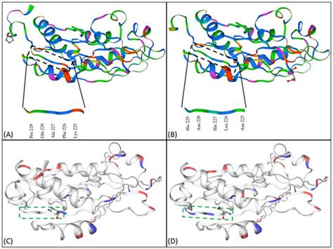 Toxins | Special Issue : Bacterial Toxins: Structure–Function Relationship