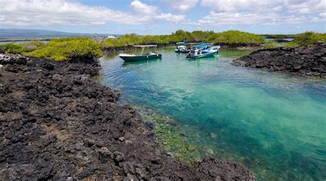 Top Hotels in Isabela from $67 | Hotels.com