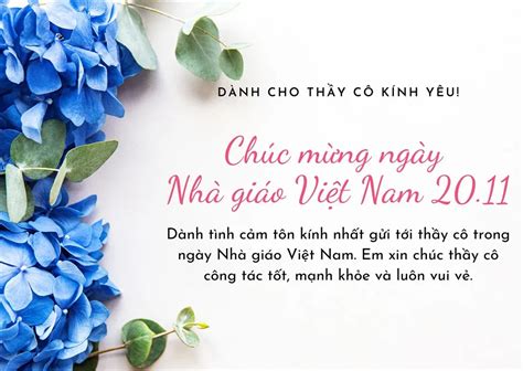 10 Lời Chúc Ngày Nhà Giáo Việt Nam 20 11 Hay Và ý Nghĩa Nhất