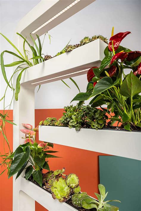 Nude Generation Más talento joven en el diseño español