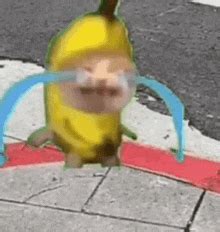 Banana Crying Cat Sticker - Banana crying cat - Discover & Share GIFs