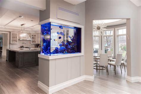 Custom Aquarium Design In Ny Nj Pa Aqua Creations