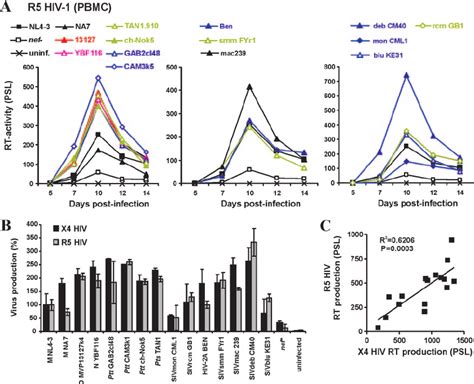 Replication Of R5 Tropic HIV 1 Nef Recombinants In PBMCs A