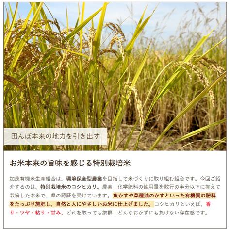 【令和5年度米】新潟県産コシヒカリ（特別栽培米）精米5kg加茂有機米生産組合送料無料 お歳暮 1021 001 02 直送計画