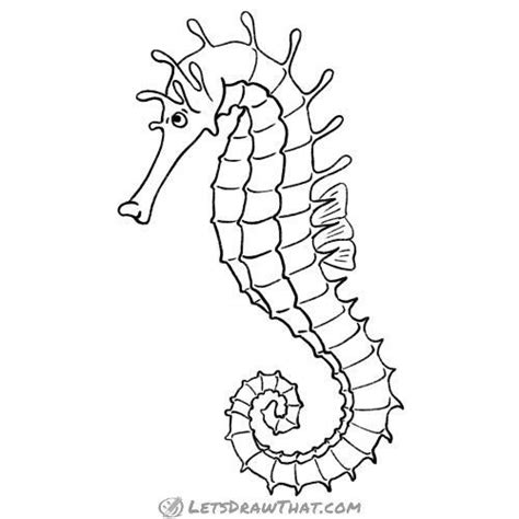 How To Draw A Seahorse Completed Outline Drawing Seahorse Drawing