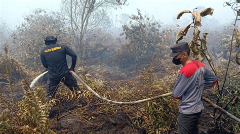 Polres Mempawah Dan Tim Gabungan Masih Bekerja Keras Padamkan Karhutla