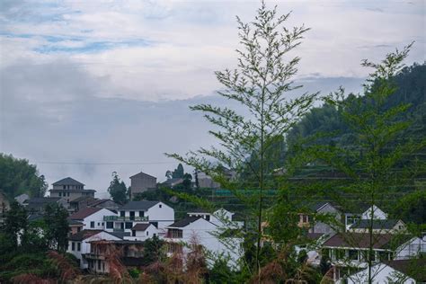 Dorf in Zhejiang fördert ländlichen Tourismus China org cn