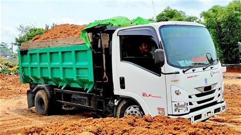 Mobil Dump Truk Isuzu Elf Sedang Beraksi Jomplang Muatan Tanah Timbunan