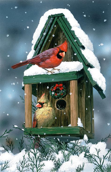 Cardinals And Birdhouse In Snow Painting By William Vanderdasson Fine