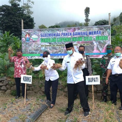 Era New Normal Bmkg Gelar Sekolah Lapang Iklim Virtual Bagi Petani Di